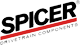 DSP_Logo.png
